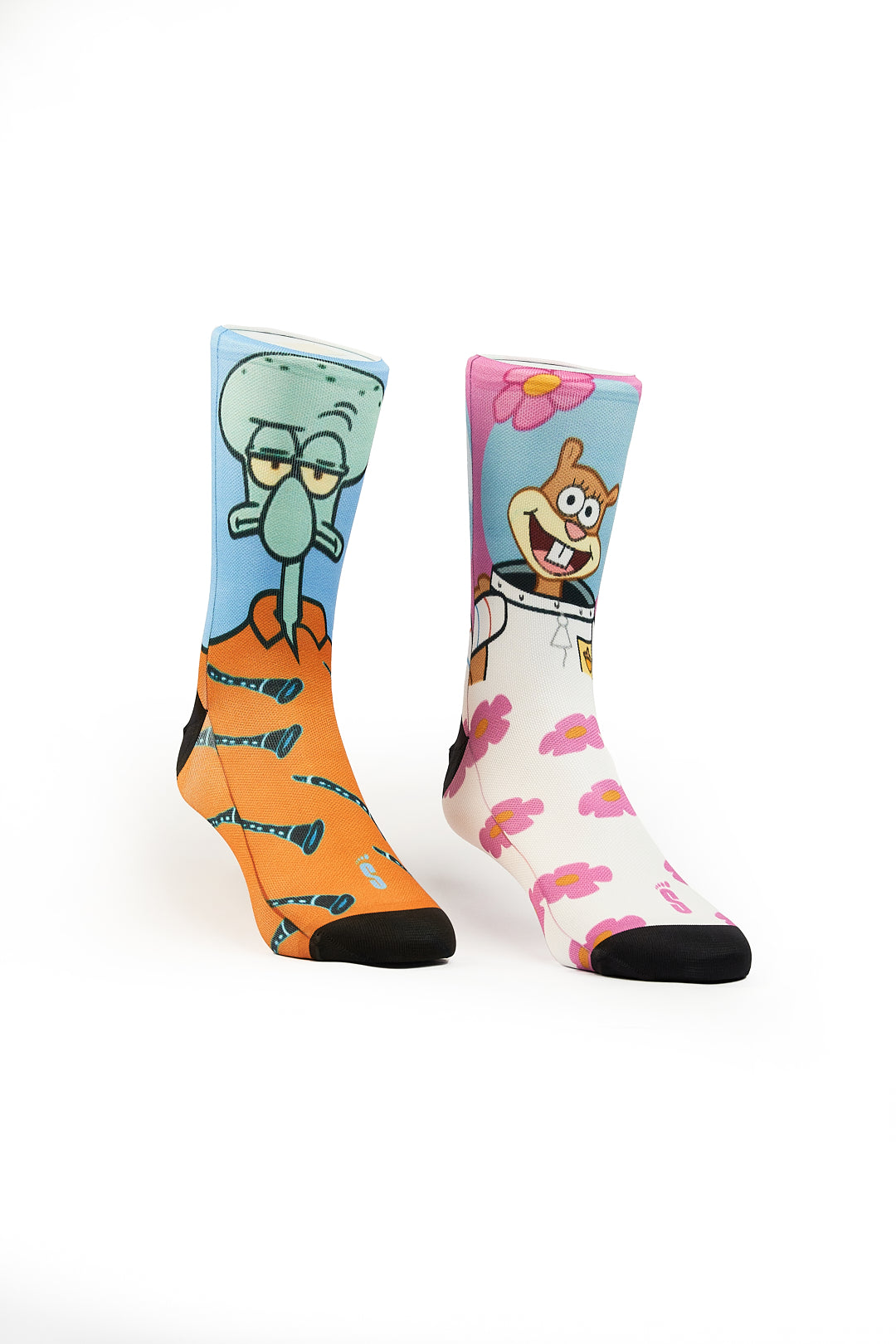 A52 - ARENITA & CALAMARDO