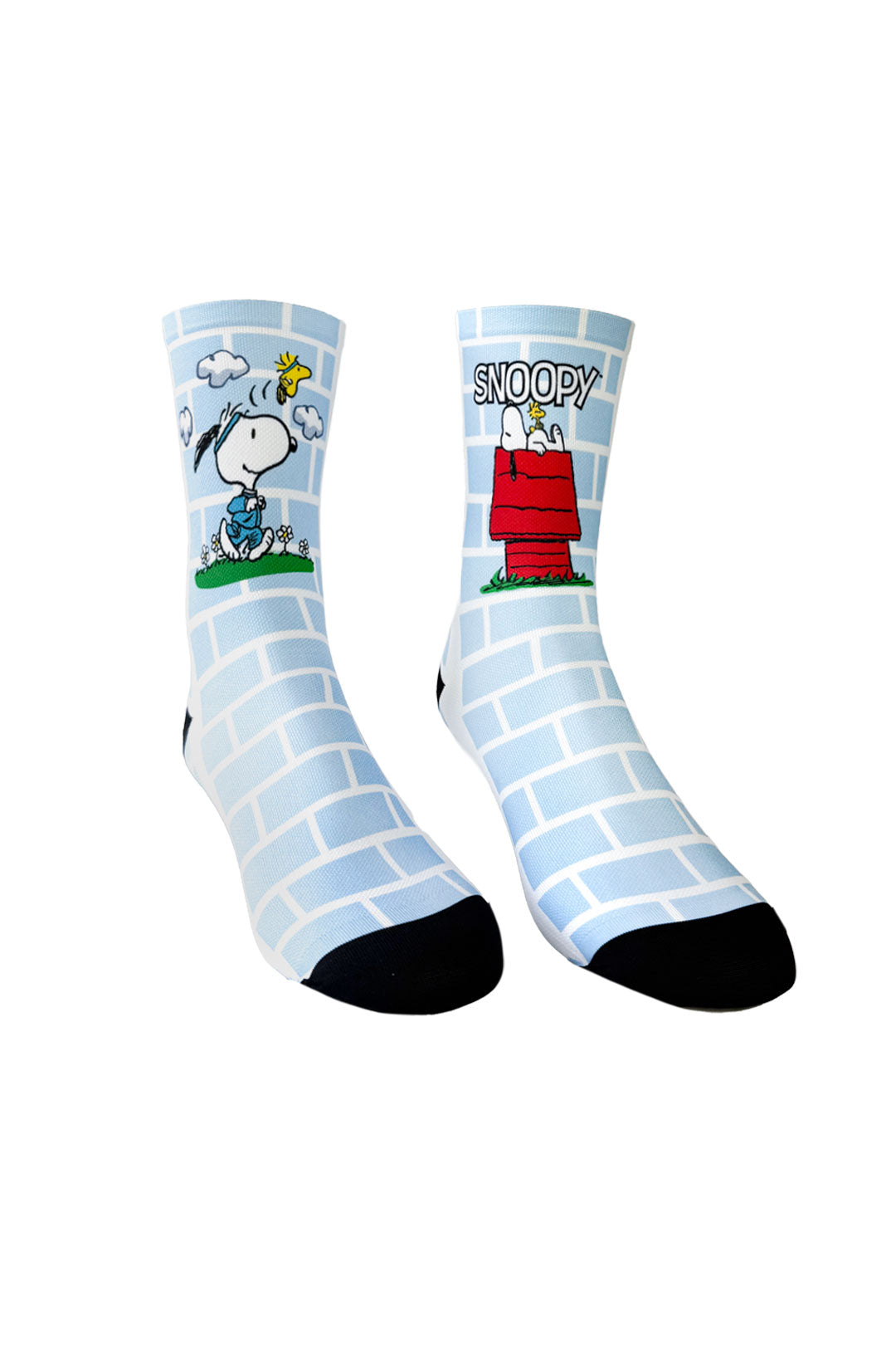 A90 - SNOOPY & WOODSTOCK