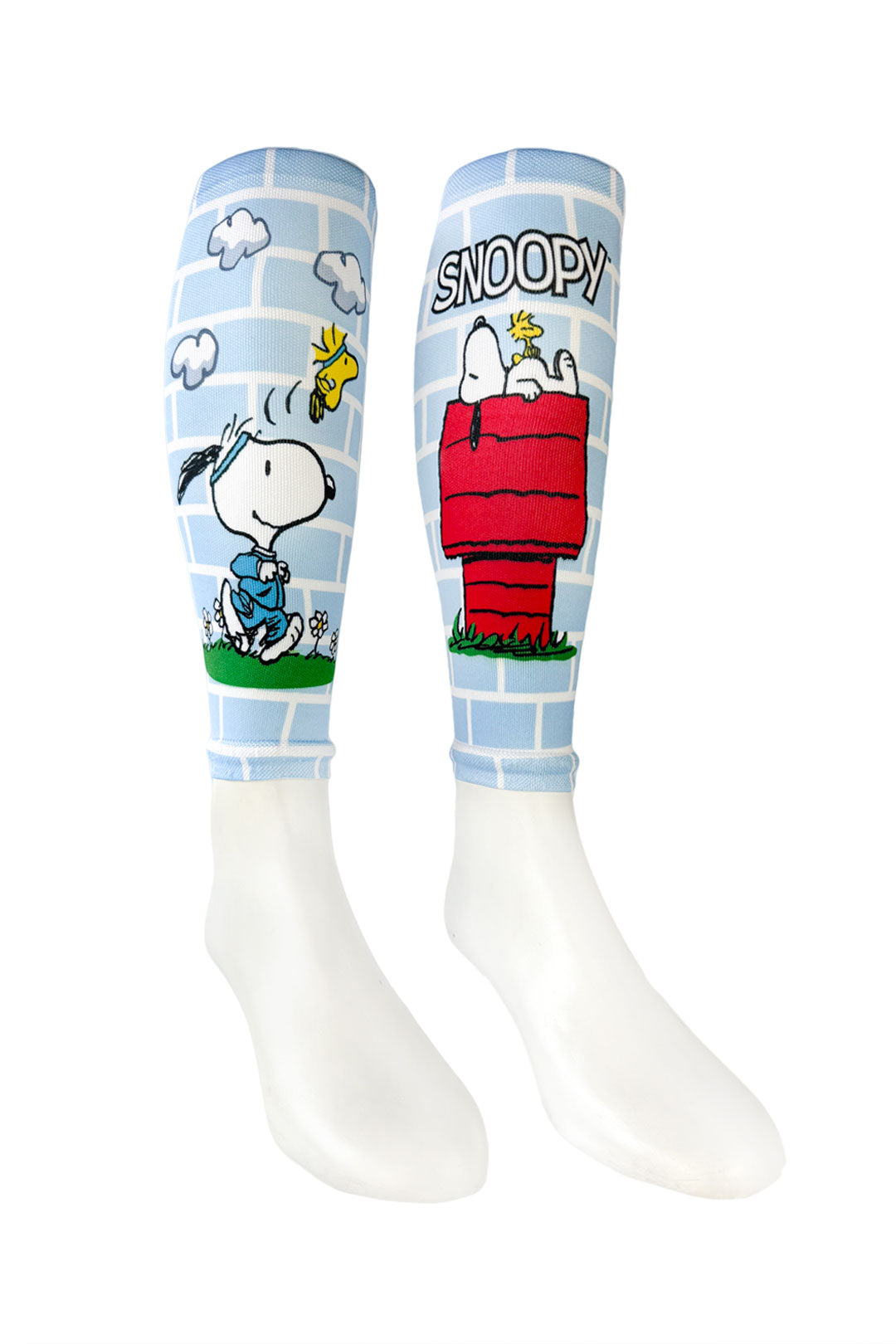 A90 - SNOOPY & WOODSTOCK