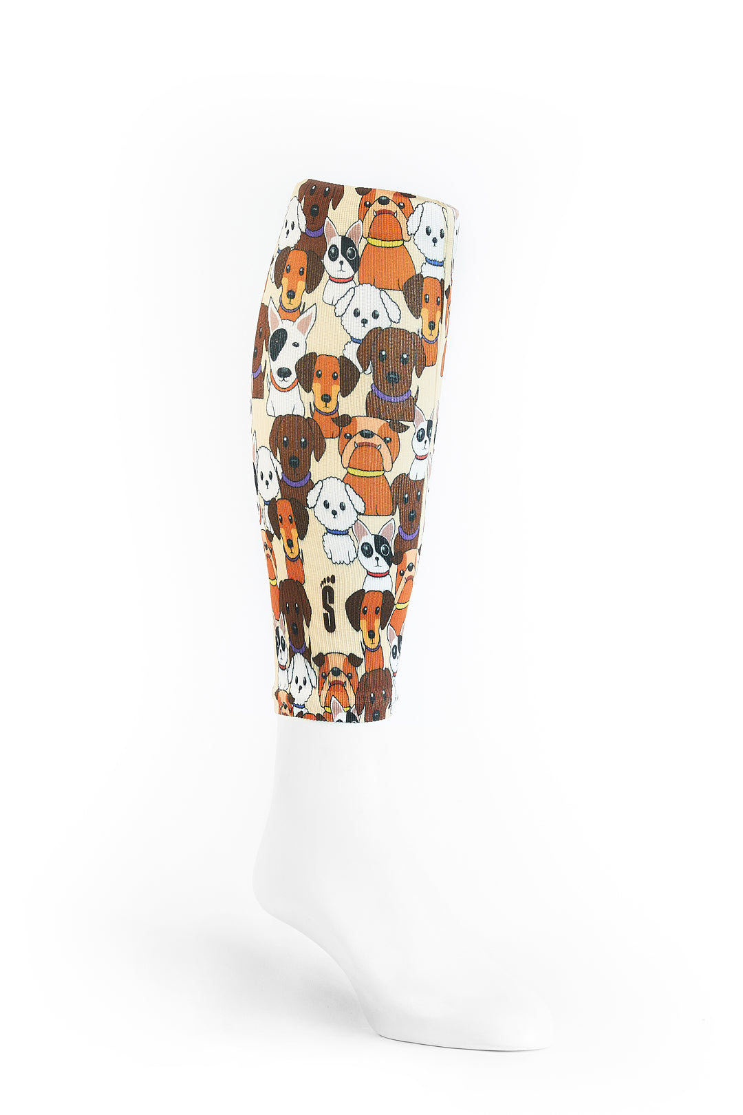 B11 - PERRITOS