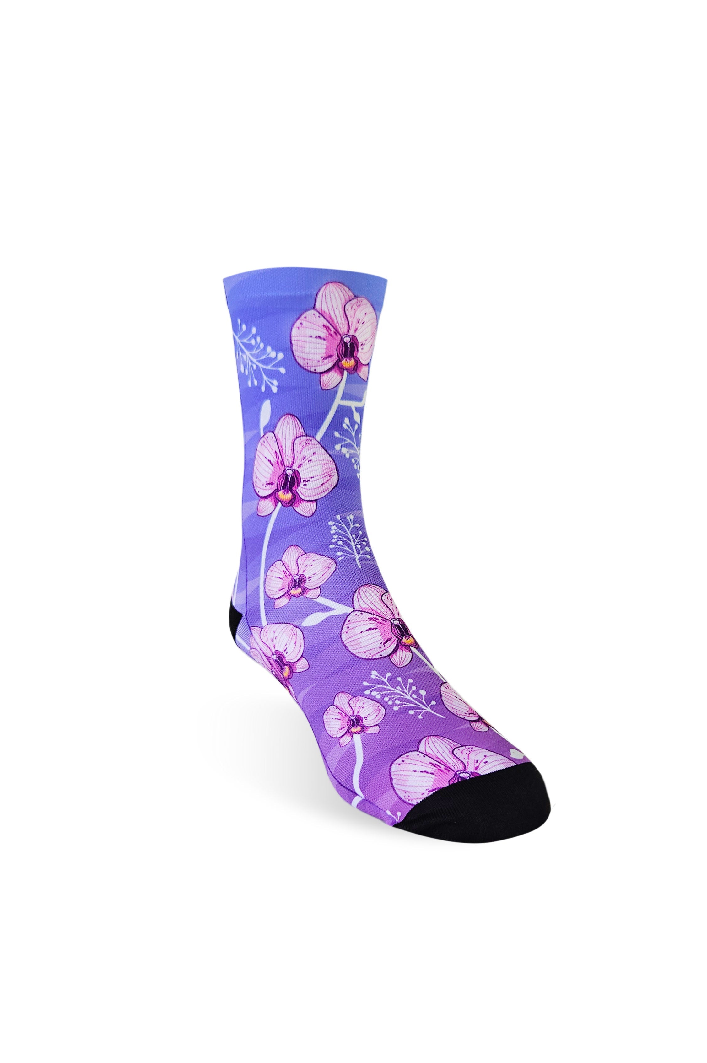 D17 - ORQUIDEAS