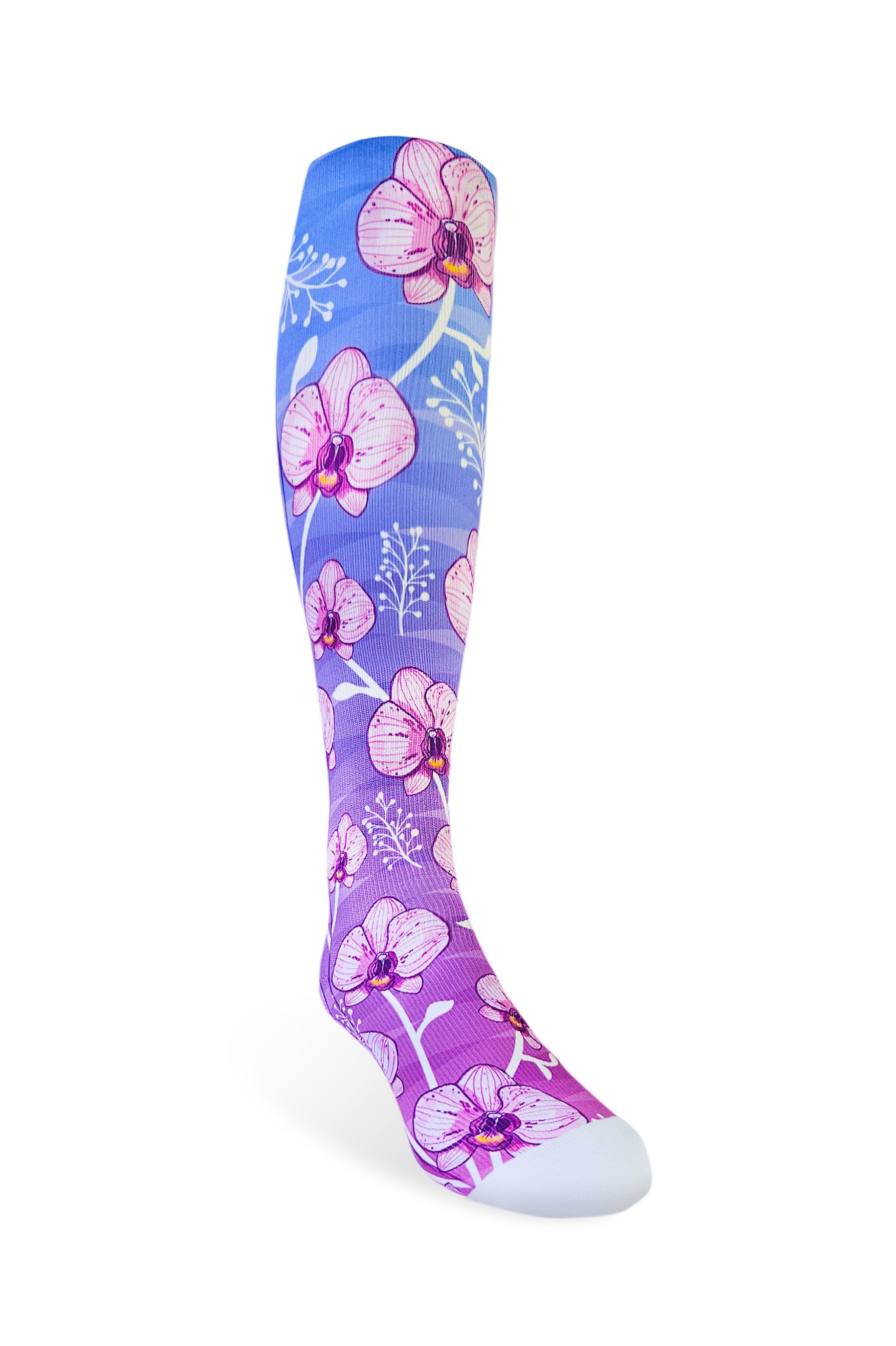 D17 - ORQUIDEAS