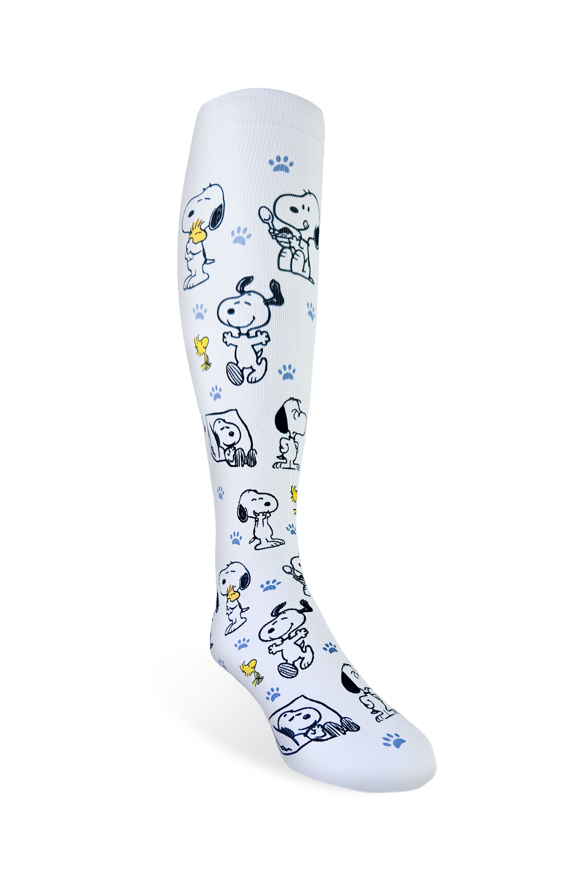 A85 - SNOOPY