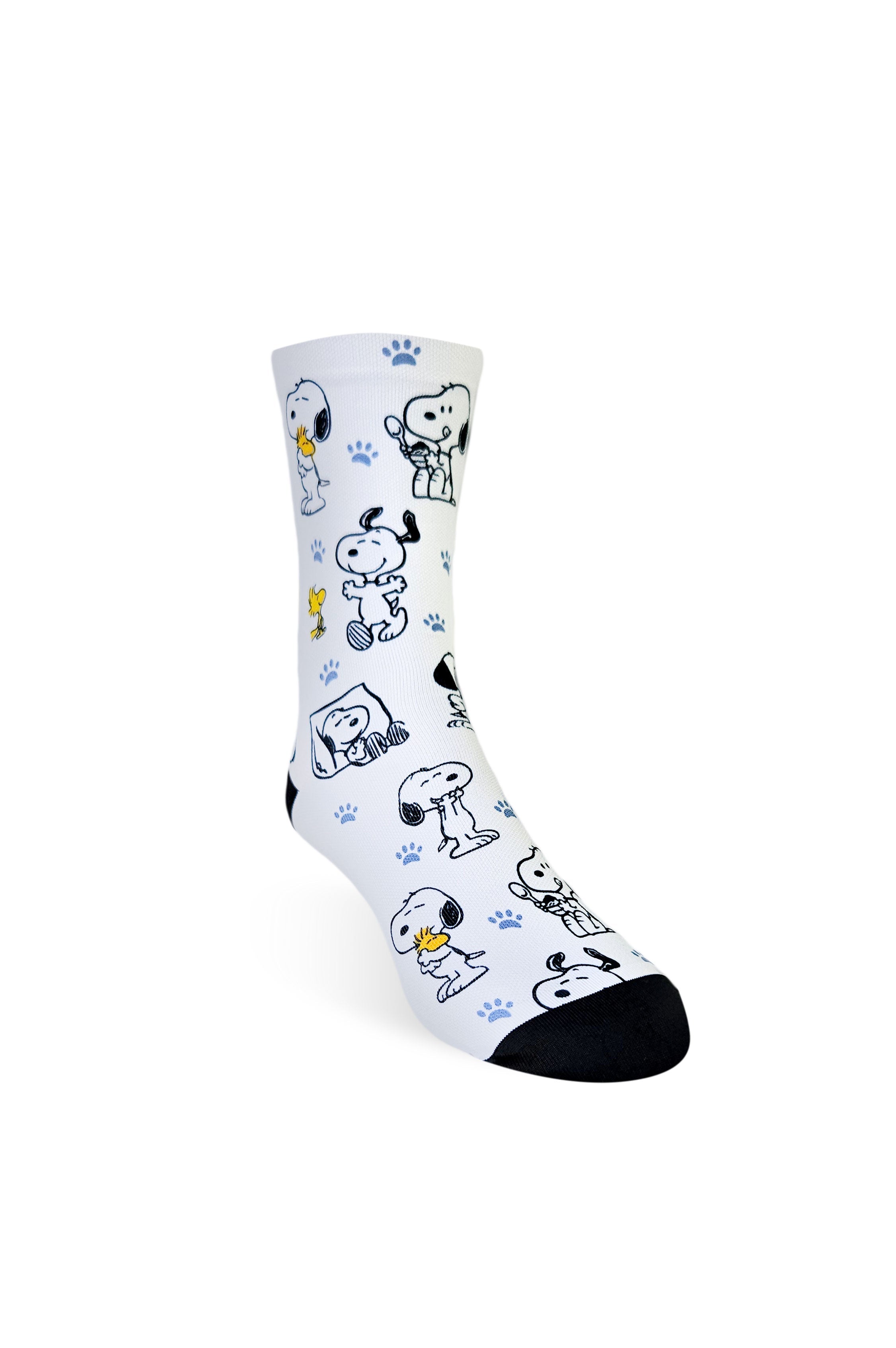 A85 - SNOOPY